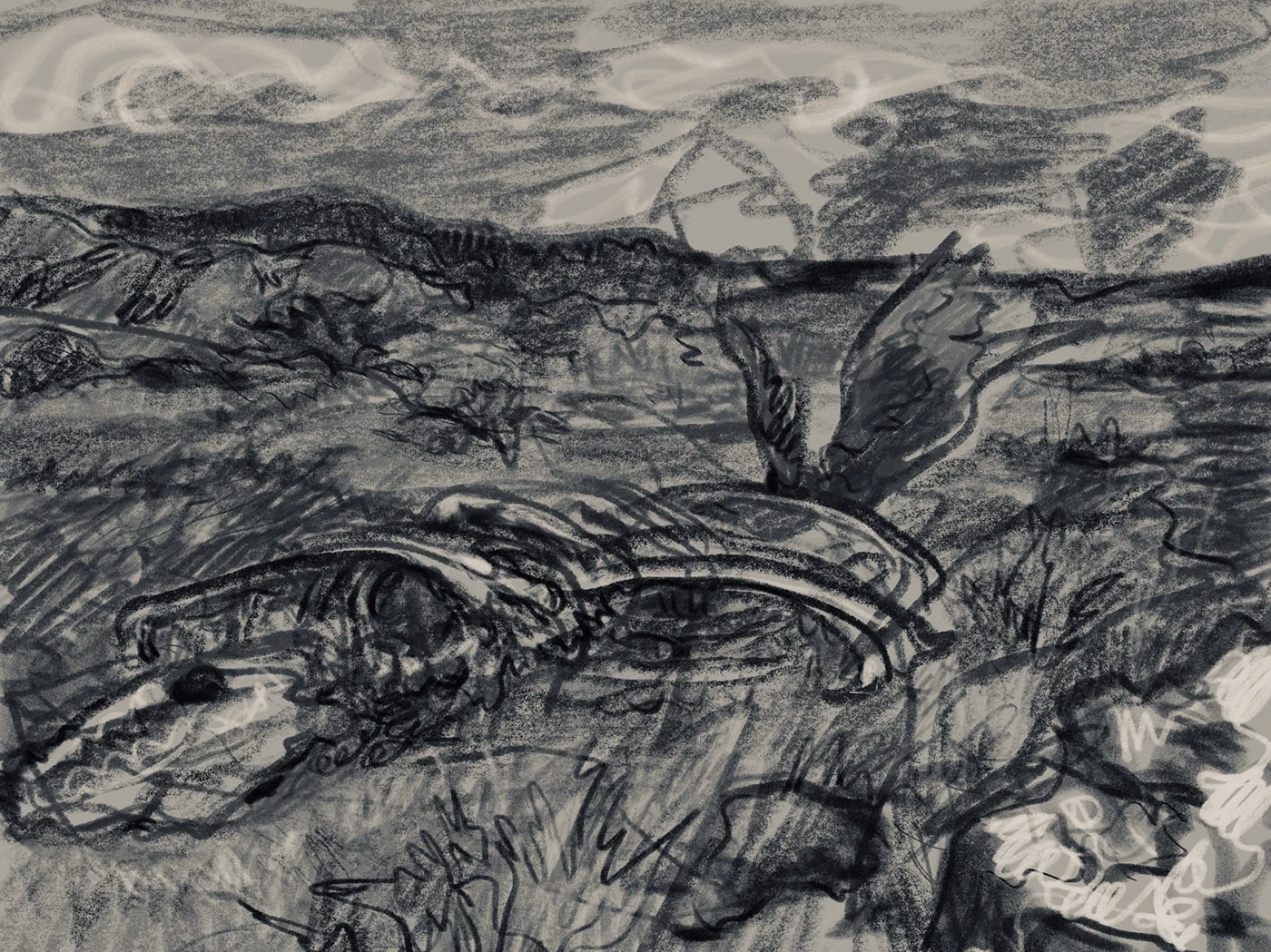A monochrome landscape of hills and winding, layered lines.